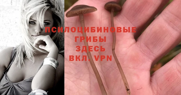 а пвп мука Богородск