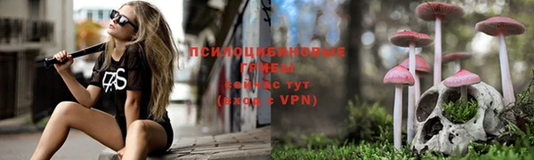 а пвп мука Богородск