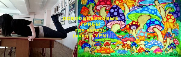 гашик Богородицк