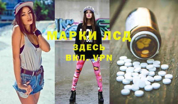 гашик Богородицк
