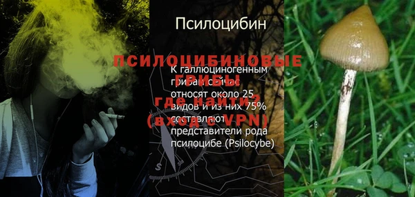 а пвп мука Богородск