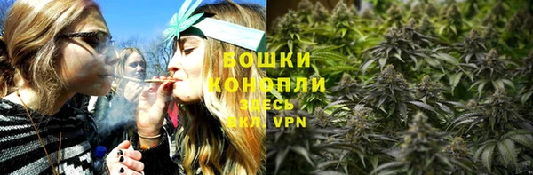 мяу мяу кристалл Богданович