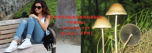 а пвп мука Богородск