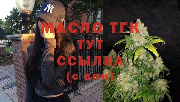 гашик Богородицк
