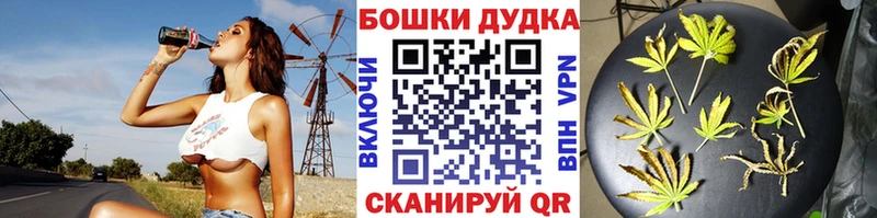 Конопля конопля  Мышкин 